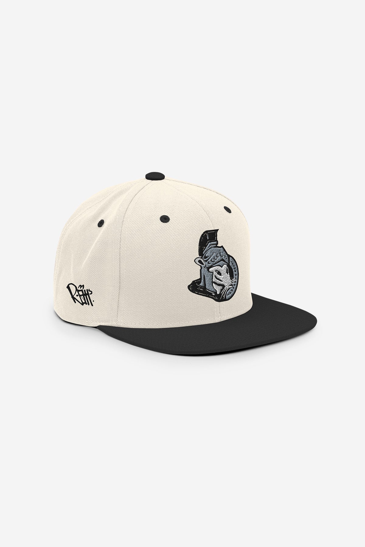 H6 - Snapback Hat